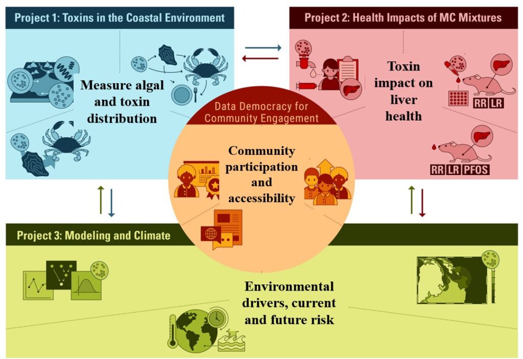 Diagram describing the three research projects integrated by the community participation and accessibility